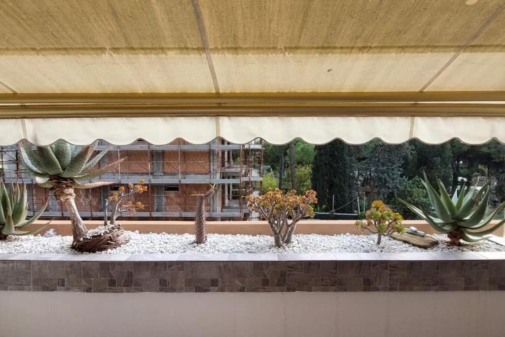 Ampio Monolocale Con Terrazzo - A 2 Passi Dal Mare * Latte